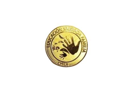 Pin dorado redondo