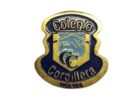 Pin dorado, fotograbado en bronce, 1 mm de espesor, bañado en oro de 24 k.
