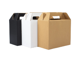 CAJA AUTOARMABLE CON ASAS, 25X20X12 CM - F28