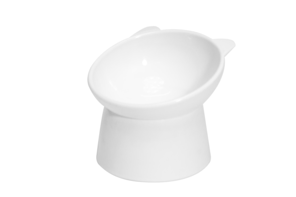PET BOWL PLASTICO - P53